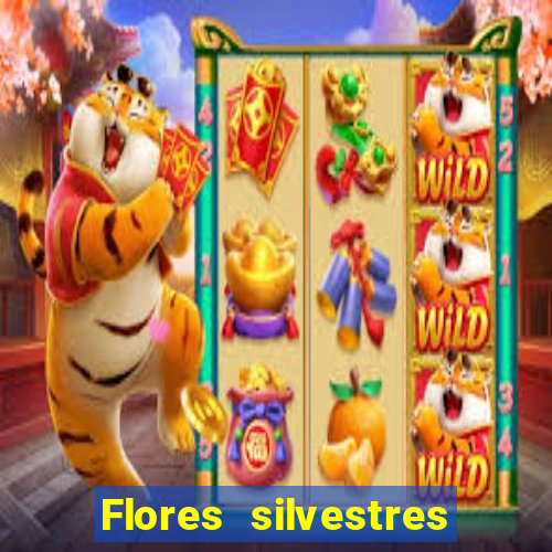 Flores silvestres brasileiras brasileiras flores silvestres nomes e imagens